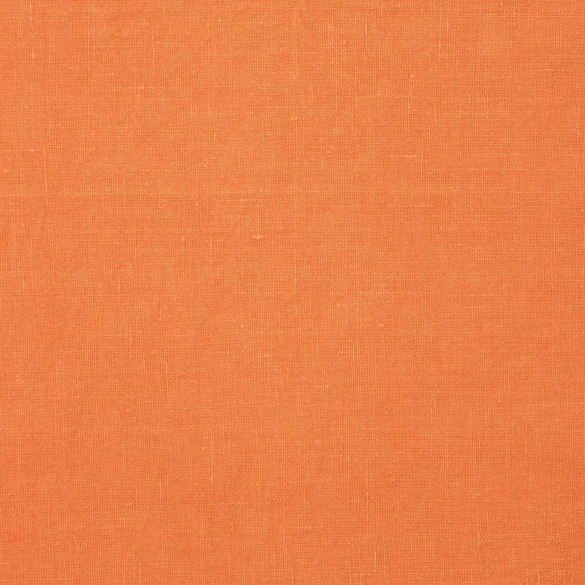 Haunted Harvest Clementine Napkins — Set of 4