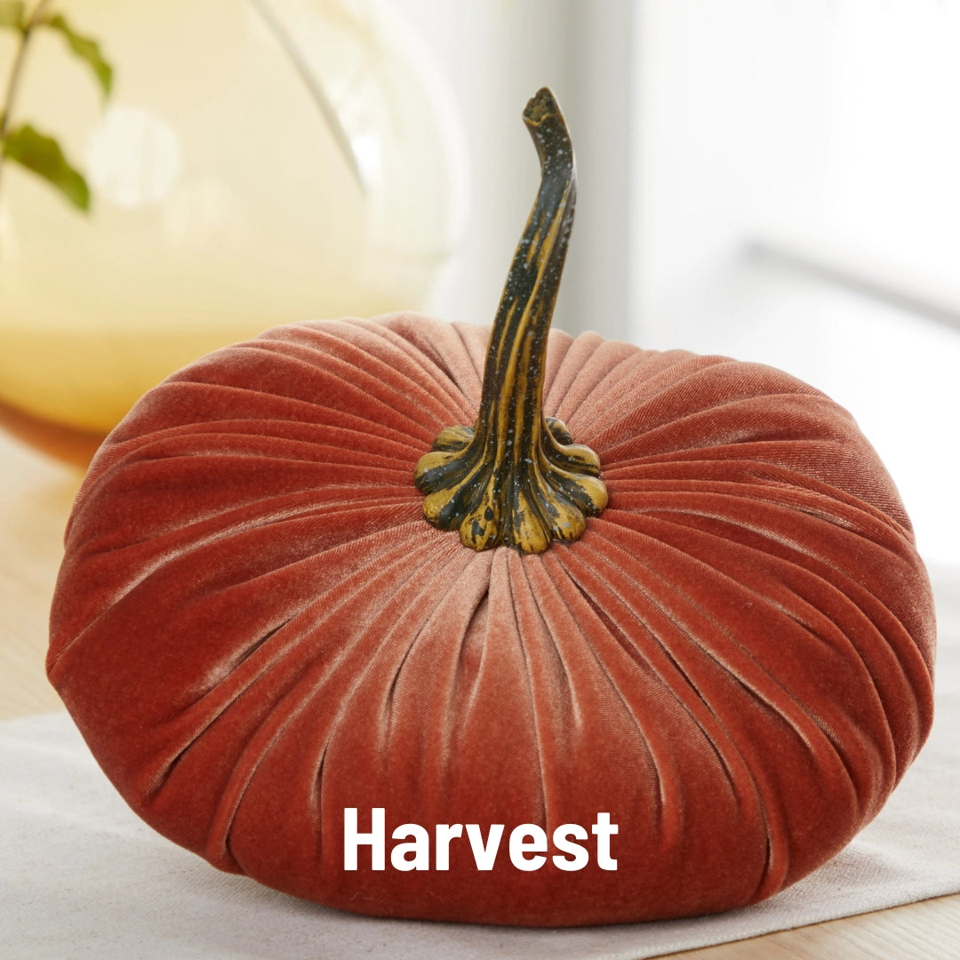 Handcrafted Velvet Pumpkin Bundle — Set of 5